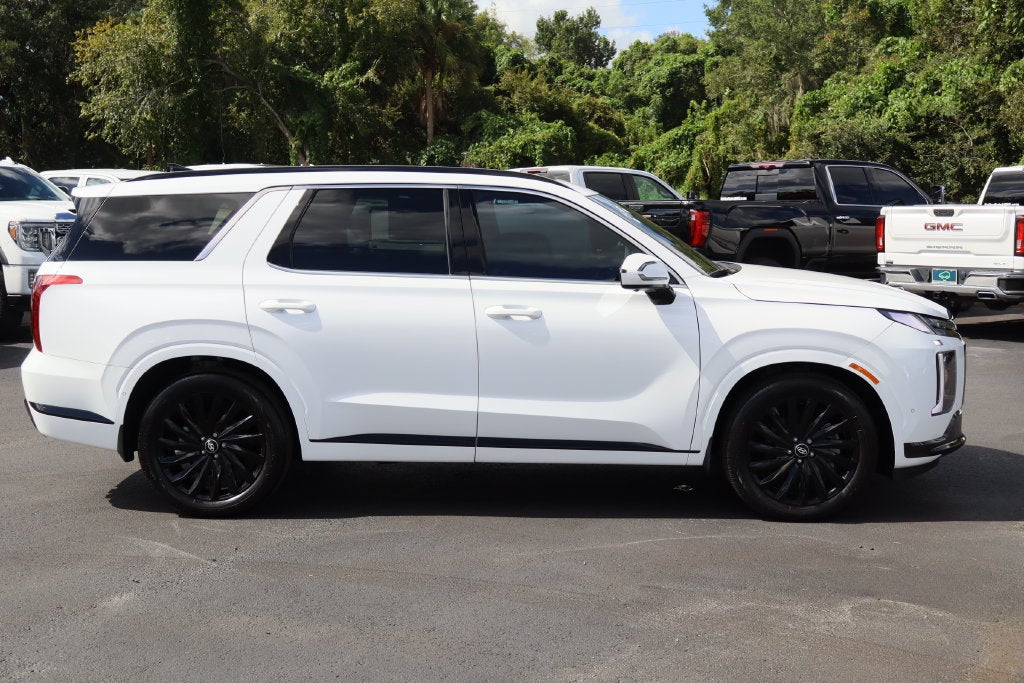 2025 Hyundai Palisade Calligraphy Night Edition - Photo 10